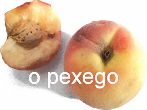 Learn Galician language vocabulary of fruits - apprendre la langue et le vocabulaire galicien