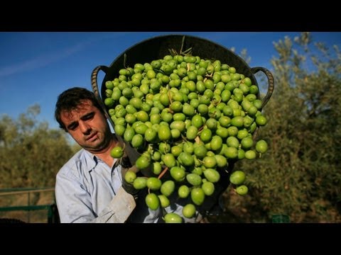 Mediterranean Diet Has Huge Health Benefits, New Study Finds