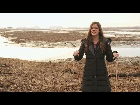 Katie Nolan tours East Rutherford, the real Super Bowl host city