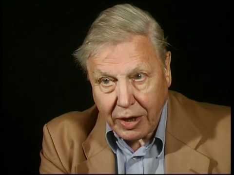 14 - Civilisation (Extra) - Interview with Sir David Attenborough - BBC TV ~2005