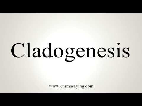 How to Pronounce Cladogenesis