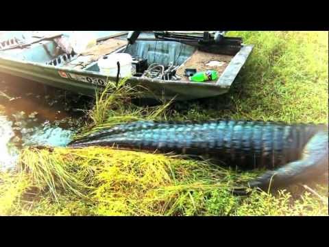 Winchester Deadly Passion Episode 3 - Gator Slam Trailer