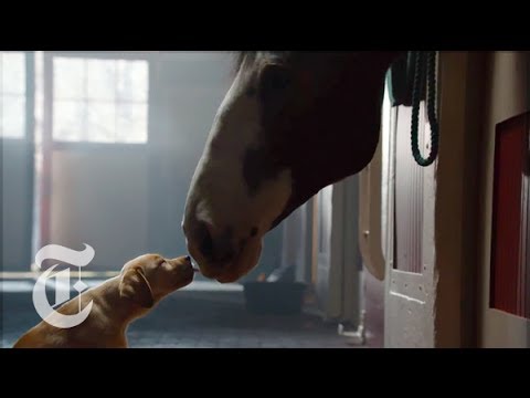 Super Bowl Commercials 2014 Preview - The New York Times