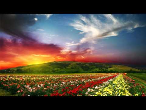 TWO HOURS of Relaxing Music - Meditation and Spa Music- New Age and Anti-Stress Music