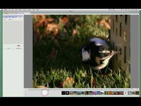 Creating a Movie with Photos and Music using Picasa