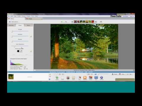 Picasa Basics Webinar