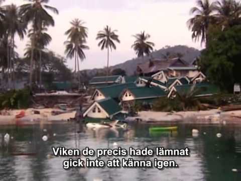 Tsunami 2004: Waves of Death (2005)