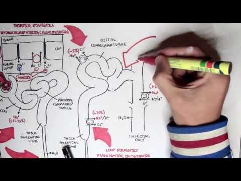 Pharmacology - Diuretics