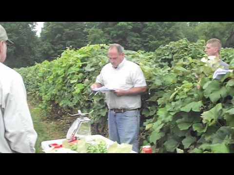 2013 Viticulture Field Day — FGNtv