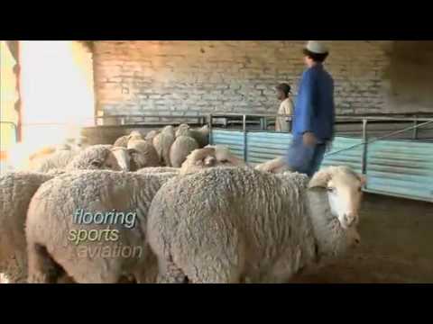 IWTO International Wool Textile Organisation - Wool Film