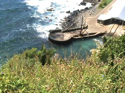 The Landing on Pitcairn Island