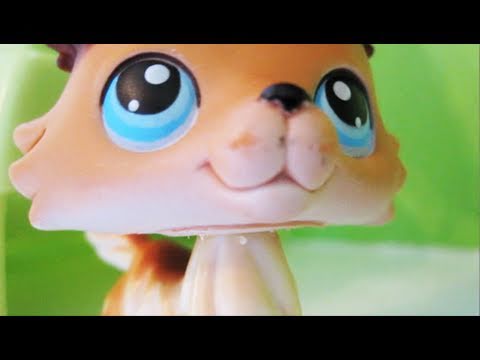 Littlest Pet Shop: Popular (Episode #7: All's Fair in Love and War)