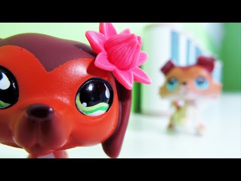 Littlest Pet Shop: Popular (Episode #11: Revenge Isn't Always Sweet)