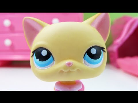 Littlest Pet Shop: Popular (Episode #10: Things Are Going to Get Ugly)