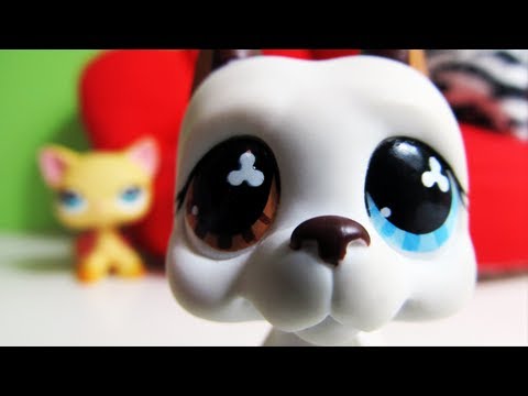 Littlest Pet Shop: Popular (Episode #13: Operation Fry the Sausage)