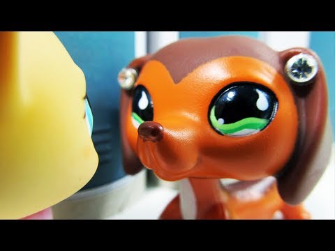 Littlest Pet Shop: Popular (Episode #12: The Rise and Fall of Brooke Hayes)