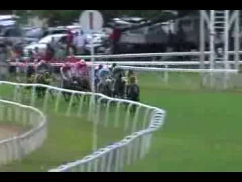 Barbados Horse Racing November 16 2013