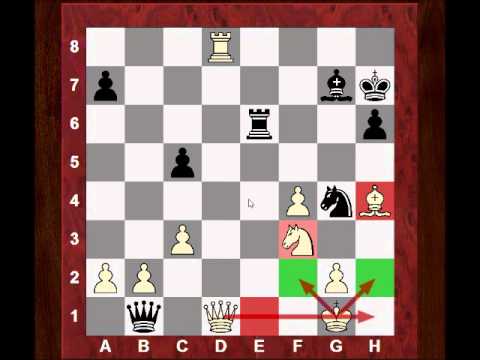 Don't underestimate forcing chess moves! Levon Aronian vs Loek van Wely - Tata Steel 2014