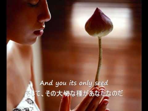 The Rose - Bette Midler (歌詞字幕）English & Japanese Lyrics