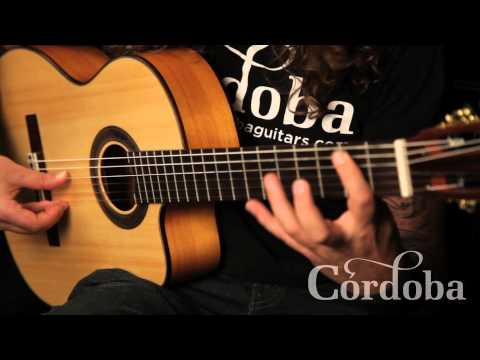 Basic Flamenco Techniques