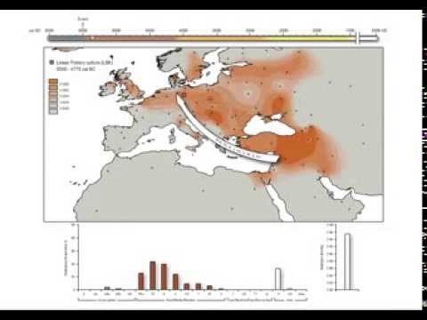 Ancient DNA Reveals Key Stages in the Formation of Central European Mitochondrial Genetic Diversity