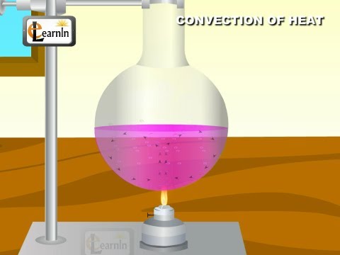 Convection of heat Experiment - Elementary Science