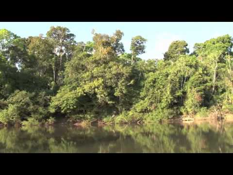 Beautiful Rupununi, Guyana