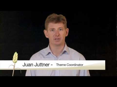 GRDC Themes PART 3 - Improving Crop Yield