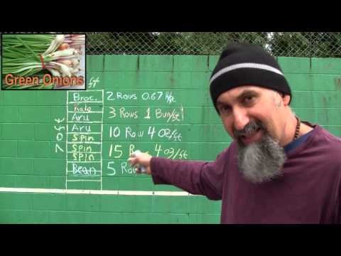 Food and Farming, Part 6: Example #1: Calculating Crop Yield (Math in Real Life)