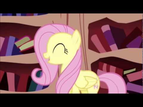 PMV: 10 Million Fluttershys