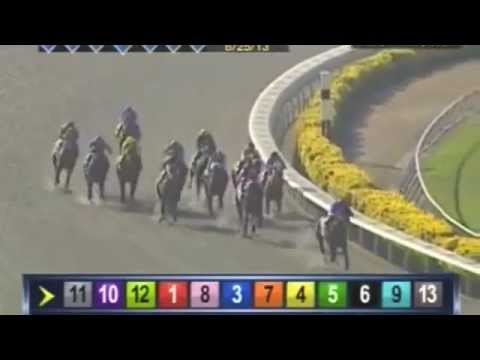 Bonnie-Jill Laflin with Trainer Bob Baffert on Game On Dude's Pacific Classic 2013 Win