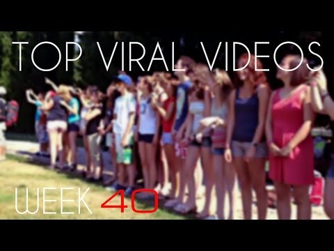 TOP VIRAL VIDEOS OF WEEK#40 2013