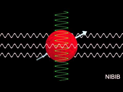 How Does an MRI Work?