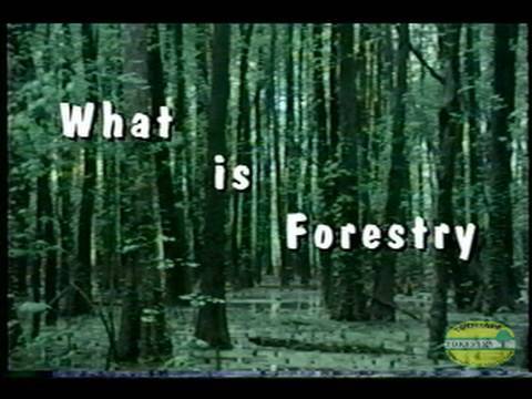 What is Forestry (1991)