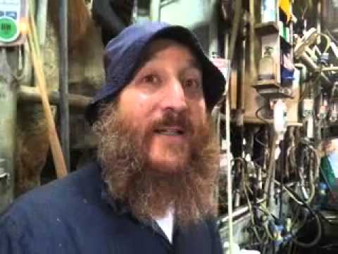 A settler interviewed in a milking barn.