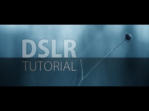 The ultimate Introduction to DSLR Filmmaking | Basic Tutorial