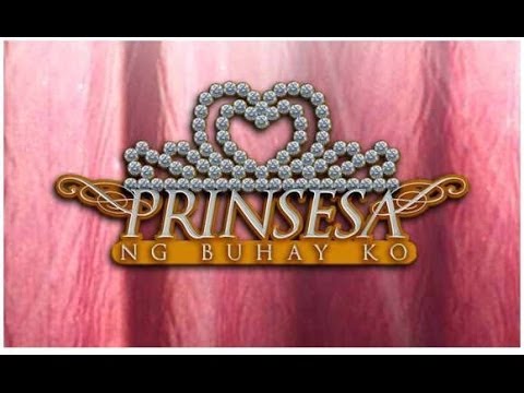 Prinsesa Ng Buhay Ko November 29, 2013 ( Full Episode )