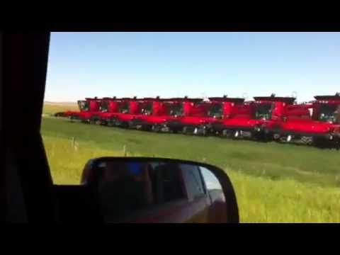 Hengerer Farms- 14 8230 Case IH Combines, Big Bud 600/50