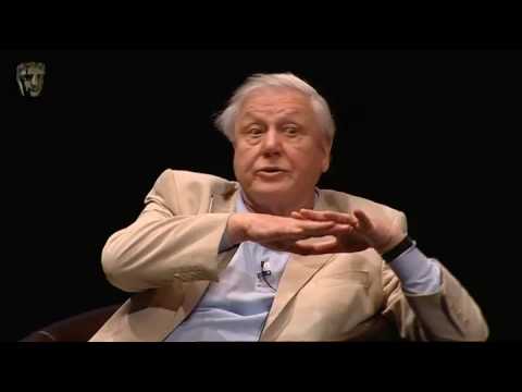 Sir David Attenborough | BAFTA: A Life in TV | Questions