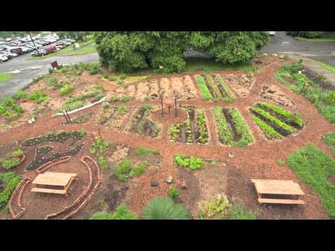 Full Version   UMass Permaculture Documentary Video