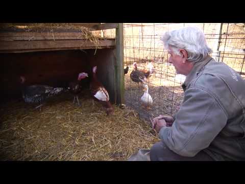 Heritage Farm Animals | Farm Raised With P. Allen Smith