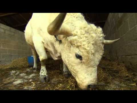 Adam's Farm Countryfile 12 05 2013