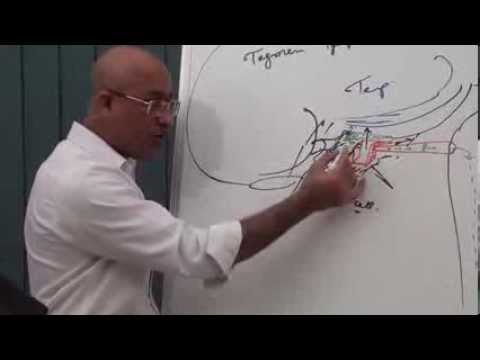 Anatomy of Middle Ear 1/9