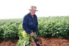 Potato farmer Bill Henderson with potatoes