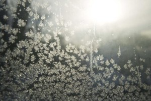 Ice crystals in Minneapolis