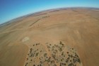 WA Farmers Federation president Dale Park says 150 large farms are experiencing severe drought