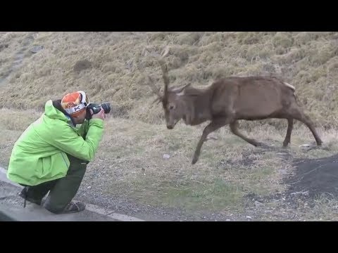 Best Fails of the Week 2 July 2013 || FailArmy