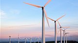 Renewable energy: what would Warren do?