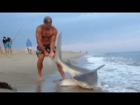 Man Wrestles Shark With Bare Hands: Caught on Tape