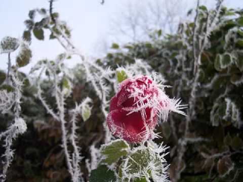 Coast to Coast AM Alt. Hagmann and Hagmann Report - January 9 2014 - Weather Wars Polar Vortex